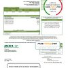USA Virginia HCSA utility bill template in Word and PDF format