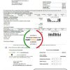 USA Washington Chelan County PUD utility bill template in Word and PDF format