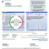 USA Washington City of Lacey water utility bill template in Word and PDF format (proof of address)