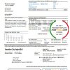 USA Washington Seattle City Light utility bill template in Word and PDF format