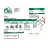 USA Whole Foods Market utility bill template in Word and PDF format