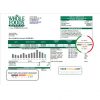 USA Whole Foods Market utility bill template in Word and PDF format scan effect