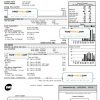 USA Wisconsin We Energies electricity utility bill template in Word and PDF format