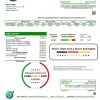 Uzbekistan GreenWorld utility bill template in Word and PDF (.doc and .pdf) format, fully editable
