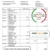 Bahrain Al Baraka bank statement template in Word and PDF format
