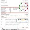 Bahrain Al Salam bank statement easy to fill template in Excel and PDF format