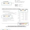 Bangladesh Dutch-Bangla bank statement Word and PDF template