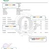 Bangladesh Islami bank statement, Word and PDF template