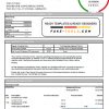 Barbados Caribbean Development bank statement easy to fill template in .xls and .pdf file format