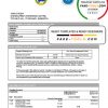 Barbados Caribbean Development Bank statement template in Word and PDF format