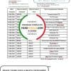 Belarus Belarusbank proof of address bank statement template in .doc and .pdf format
