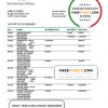 Belarus Belinvest bank statement template in Excel and PDF format