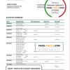 Belarus Belinvest bank statement template in Word and PDF format