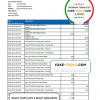 Belize Choice Bank statement template in Excel and PDF format