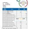 Belize Choice Bank statement template in Word and PDF format