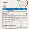 Belize Choice Bank statement template in Word and PDF format