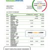 Belize bank statement template in Excel and PDF format, fully editable