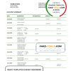 Belize bank statement template in Word and PDF format
