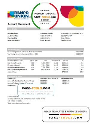 Bolivia Banco Union bank statement easy to fill template in Excel and PDF format (AutoSum)