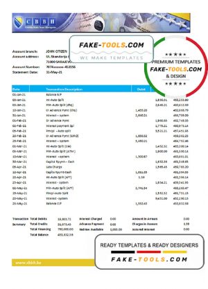 Bosnia and Herzegovina Central Bank statement easy to fill template in Excel and PDF format (AutoSum)