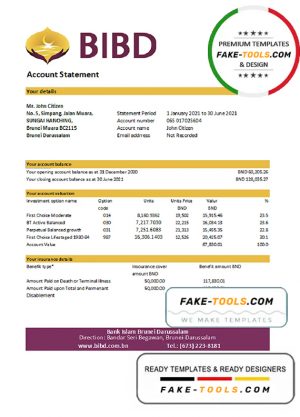 Brunei Bank Islam Brunei Darussalam bank statement easy to fill template in Excel and PDF format (AutoSum)