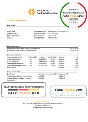 Ethiopia Bank of Abyssinia bank statement easy to fill template in .xls and .pdf file format