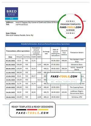 Fiji Bred bank statement template in Word and PDF format