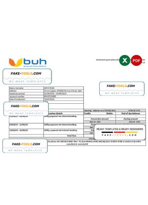 Haiti BUH bank statement Excel and PDF template Haiti BUH bank statement Excel and PDF template