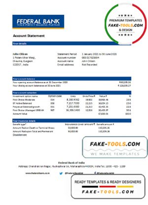 India Federal Bank statement easy to fill template in .xls and .pdf file format India Federal Bank statement easy to fill template in .xls and .pdf file format
