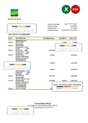 Japan Norinchukin bank statement Excel and PDF template