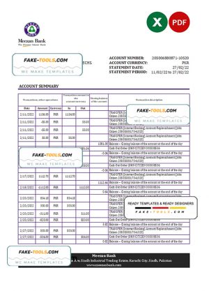 Pakistan Meezan bank statement Excel and PDF template Pakistan Meezan bank statement Excel and PDF template
