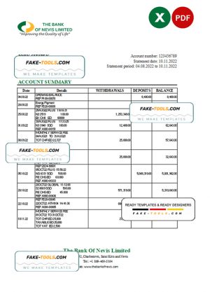 Saint Kitts and Nevis The Bank of Nevis bank statement, Excel and PDF template
