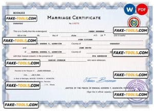 Paraguay marriage certificate Word and PDF template, completely editable