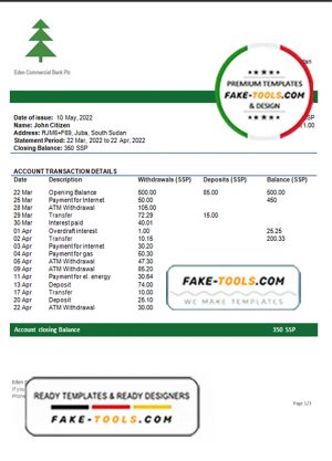 South Sudan Eden Commercial bank statement template in Word and PDF format