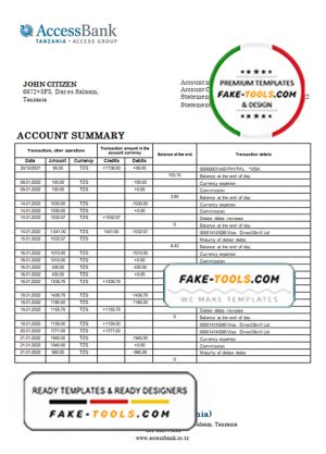 Tanzania Access Bank statement template in Word and PDF format