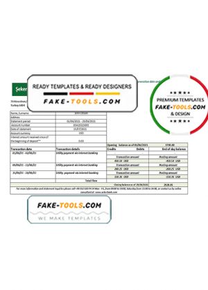 Turkey Sekerbank Bank statement easy to fill template in Excel and PDF format