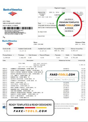 USA Bank of America bank statement template in Excel and PDF format, version 5