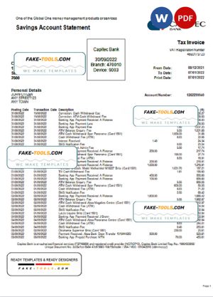 USA Capitec bank statement Word and PDF template