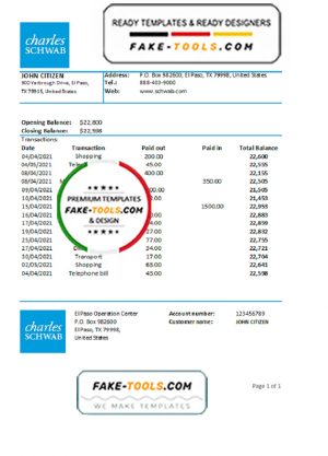 USA Charles Schwab & Co bank statement easy to fill template in .xls and .pdf file format