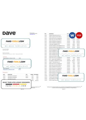 USA Dave bank account statement, Word and PDF template, 5 pages