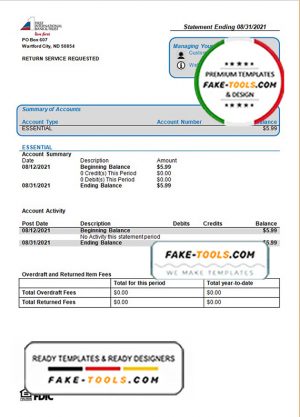 USA First International Bank & Trust bank statement template in Word and PDF format