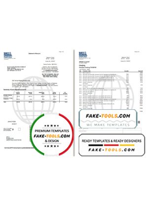 USA Navy Federal Union bank statement template in Word and PDF format (5 pages)