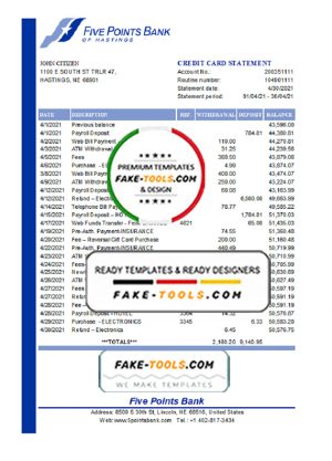 USA Nebraska Five Points Bank statement template in Excel and PDF format