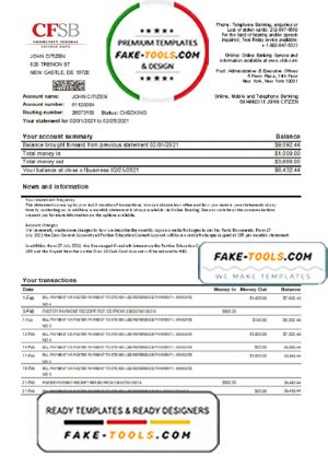 USA New York CFSB bank statement template in Excel and PDF format
