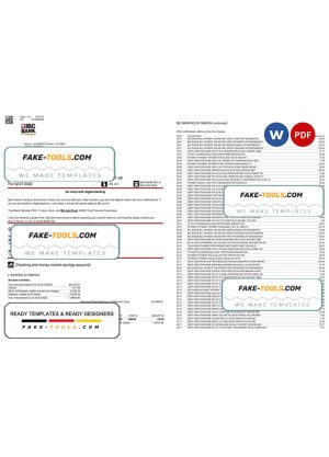 USA Texas IBC bank statement Word and PDF template, 5 pages