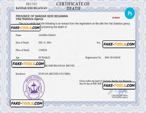 Brunei vital record death certificate PSD template, fully editable