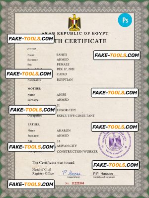 Egypt vital record birth certificate PSD template, fully editable