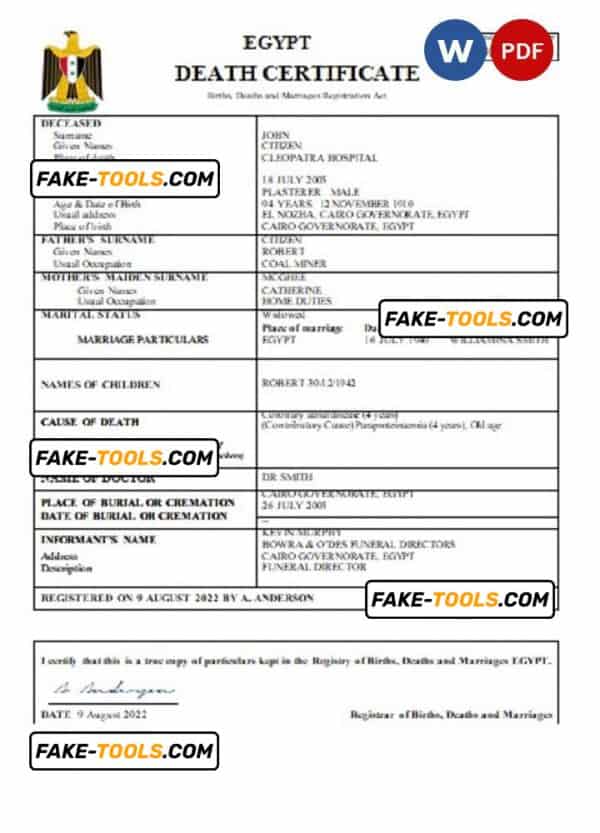 Egypt vital record death certificate Word and PDF template