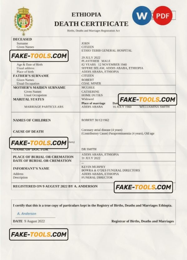 Ethiopia vital record death certificate Word and PDF template