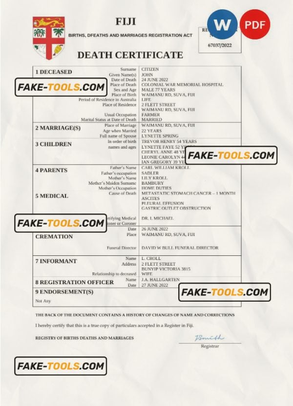 Fiji vital record death certificate Word and PDF template